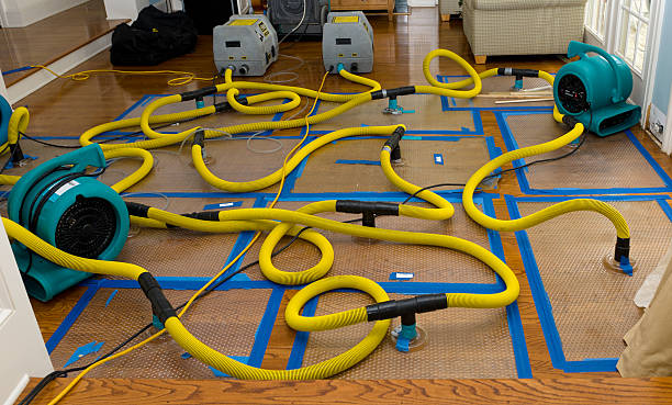 Professional Storm Water Damage Restoration technician working in Copalis Beach, WA